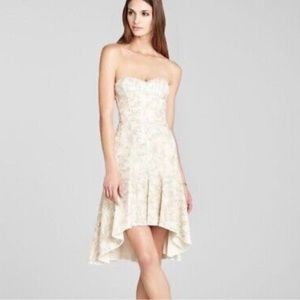 BCBG Maxazria Bryleigh cocktail dress